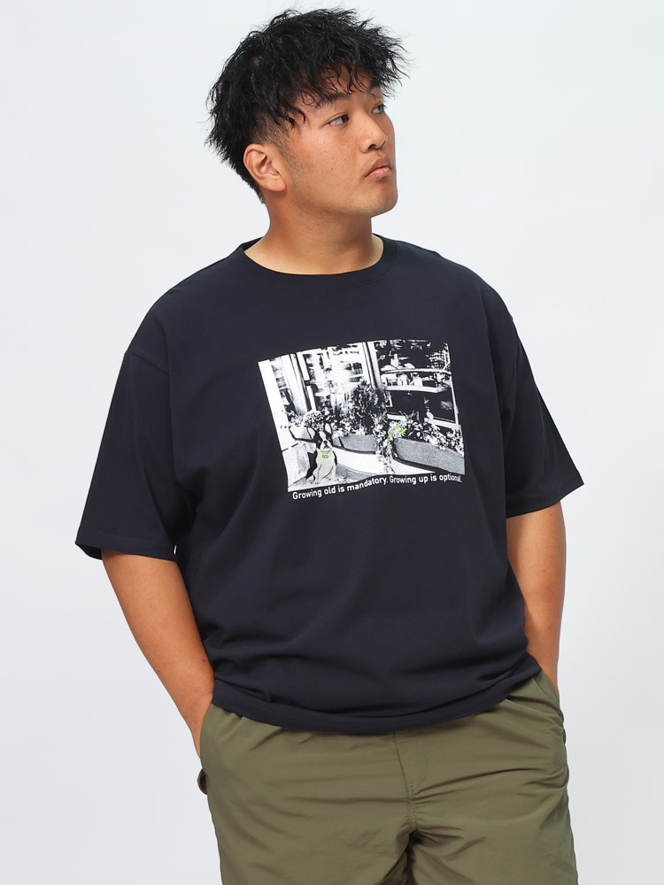 半袖 Tシャツ フォトグラフィック×刺繍 クルーネック トップス シャツ