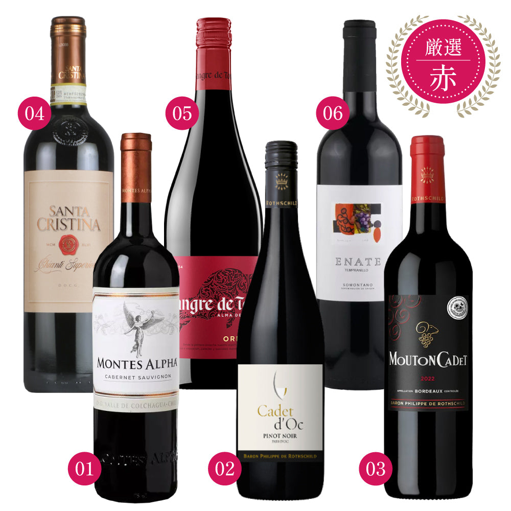 6本セット】 エノテカ 厳選 赤ワイン 750ml × 6本 セット チリ