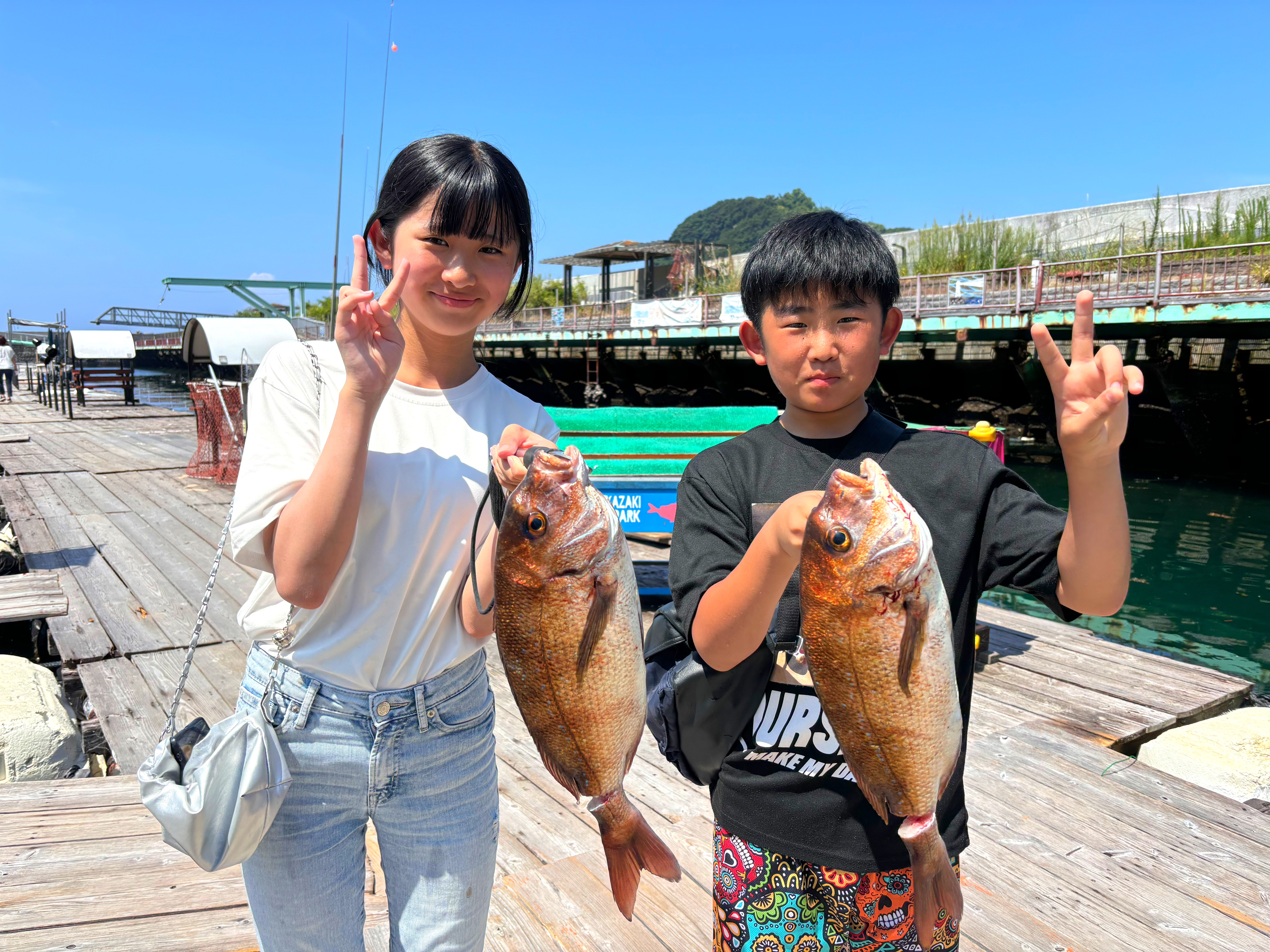 8月6日の釣果 夏休み🌻ちょい釣り好評です👍 - 雑賀崎シーパーク【公式