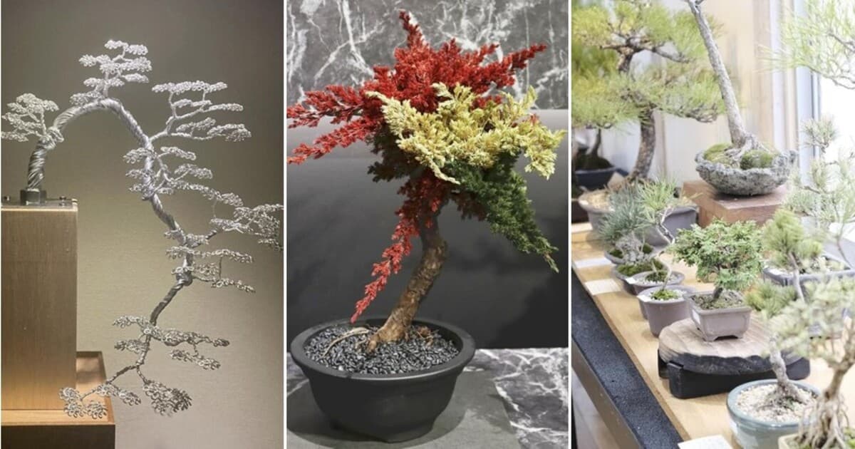 世代を超えて広がる人気！ 手軽でおしゃれな現代の「盆栽」 | 気になる