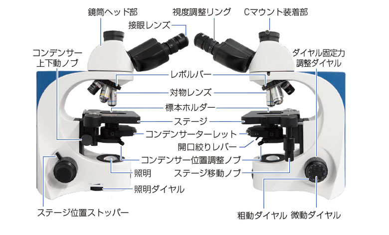 OPTIKA 生物顕微鏡/位相差顕微鏡JB-383PHシリーズ | 位相差顕微鏡