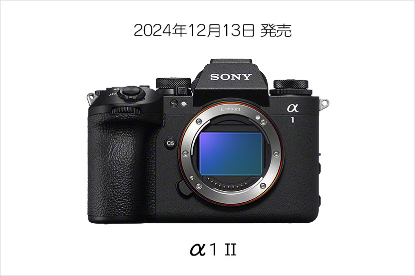 2024年に発売された α・Eマウントレンズ 作例と共にまとめてみました