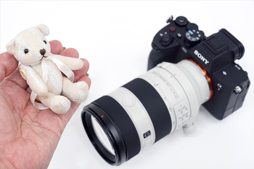 ソニー FE 70-200mm F4 Macro G OSS II「SEL70200G2」レビュー 作例