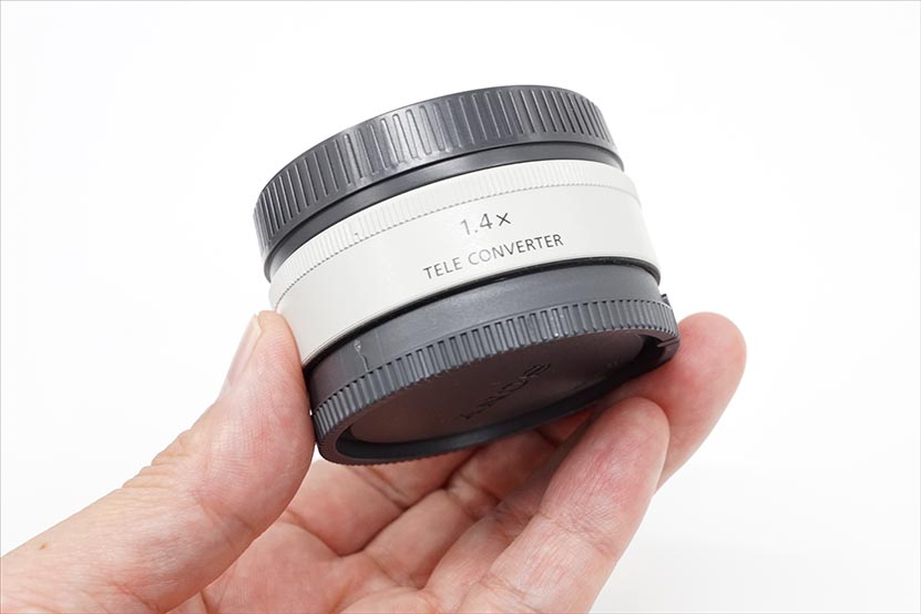 ソニーテレコンバーター ｜望遠レンズの飛び道具!作例付きで紹介