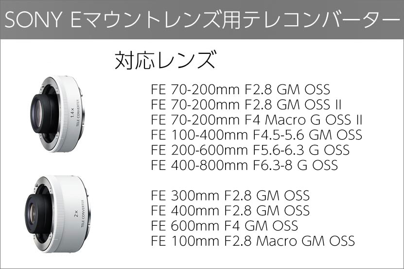 ソニーテレコンバーター ｜望遠レンズの飛び道具!作例付きで紹介