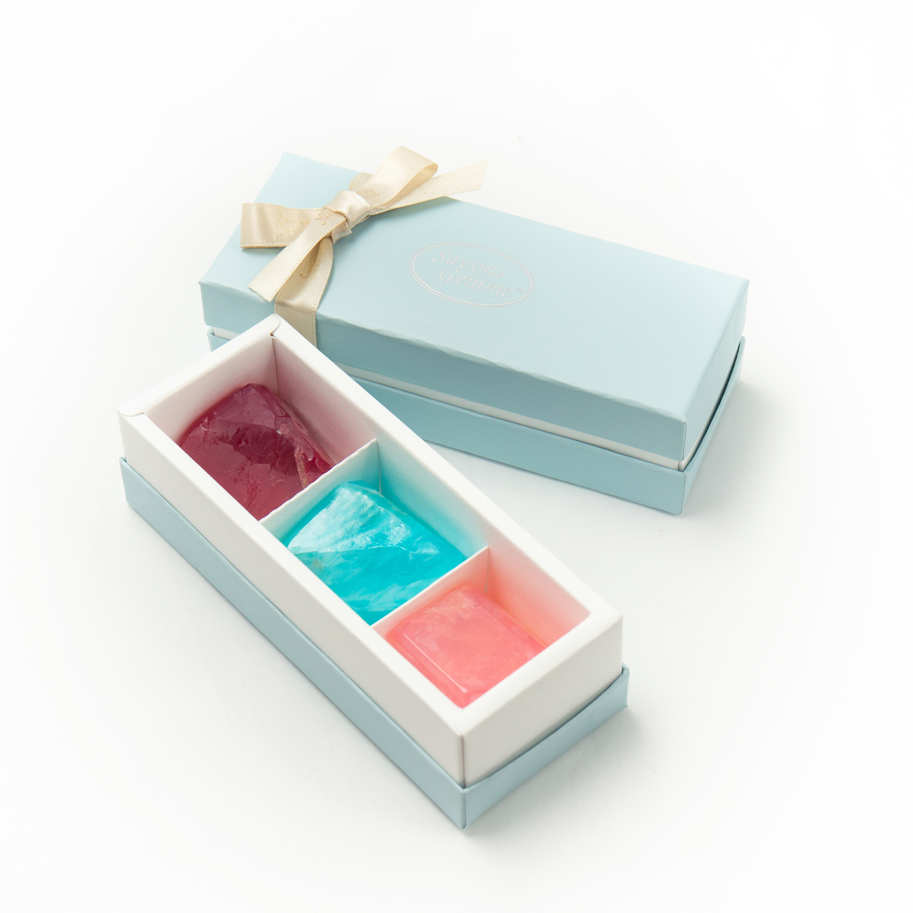 リトルジェム Bセレクト（ショップ袋オプション選択） – 公式