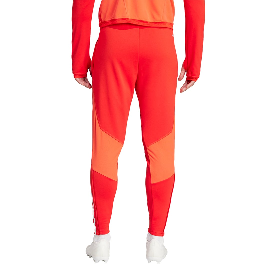 adidas バイエルンミュンヘン 23/24 トレーニングトップ&トレーニング