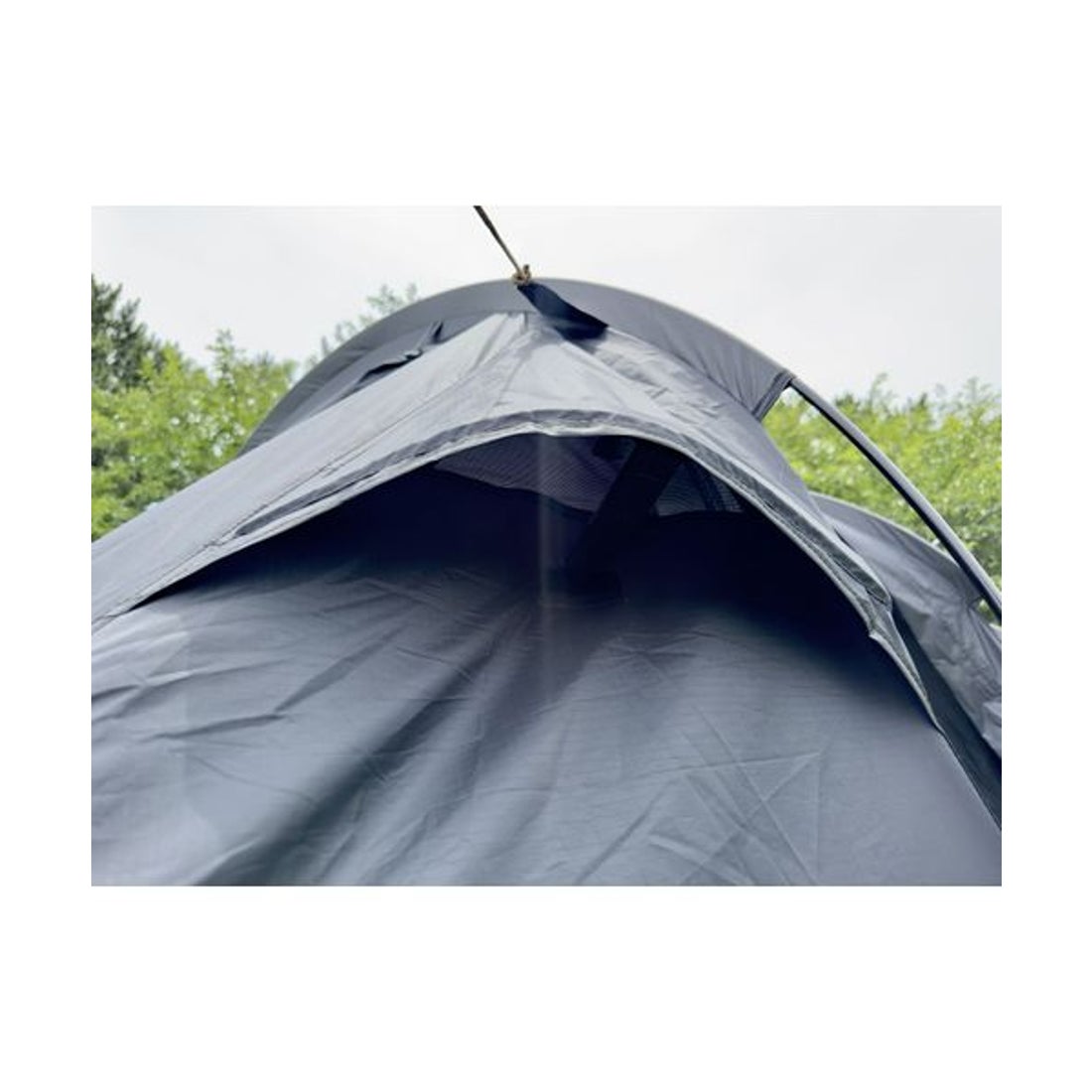 タラスブルバ TARAS BOULBA キャタピラー ソロ （ブラック