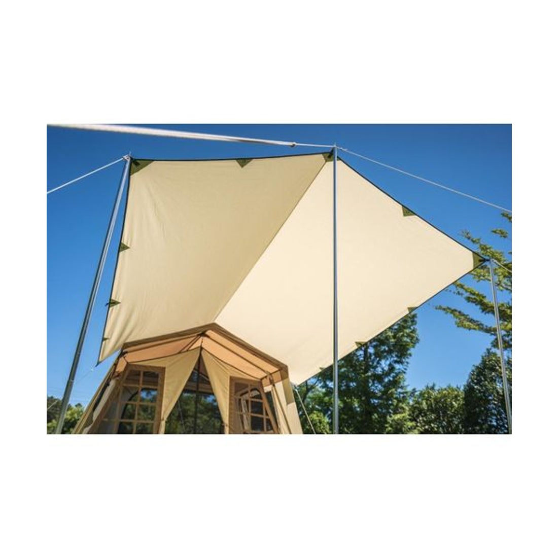 オガワ Ogawa システムタープレクタT/C （オフホワイト×ダークブラウン