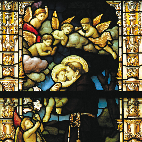 10・11・12月】作品紹介展『舞い降りた天使たち』〜終了しました