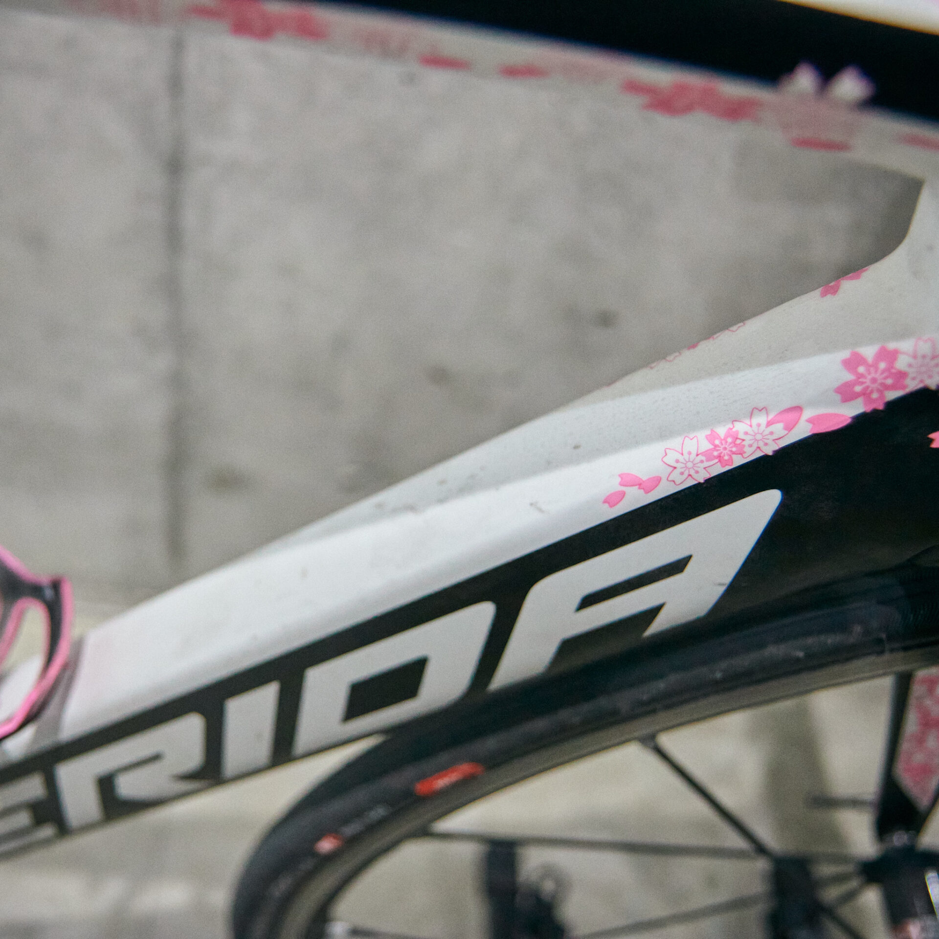 桜と富士山を描いた新城幸也モデルのMERIDA！ - SENSHA Bicycle 港北