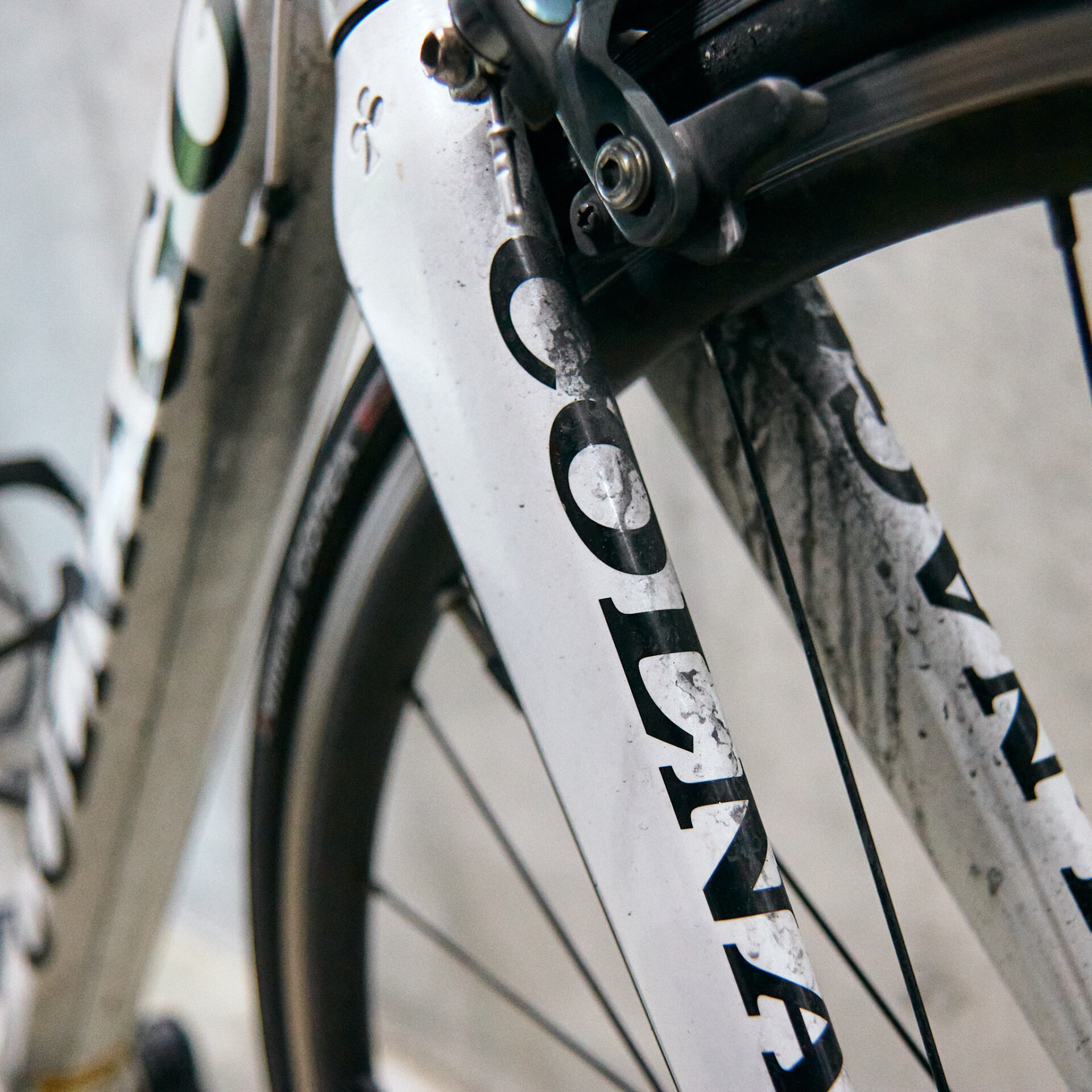 アルミフレーム仕様のCOLNAGO MONDO が入庫！ - SENSHA Bicycle 港北