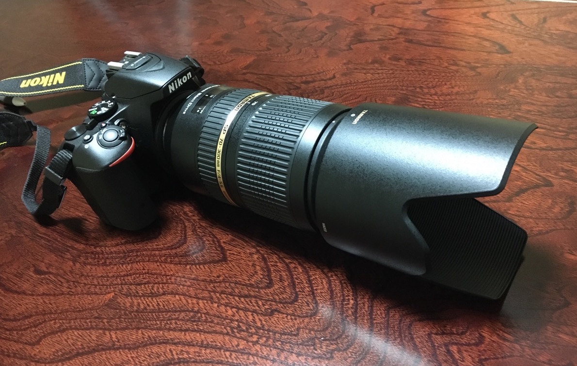 レビュー】TAMRON SP 70-300mm F4-5.6 Di VC USDで撮影した写真と感想