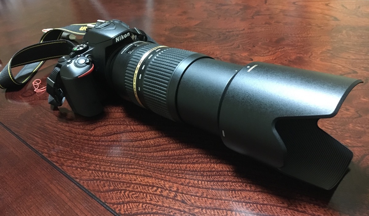 レビュー】TAMRON SP 70-300mm F4-5.6 Di VC USDで撮影した写真と感想