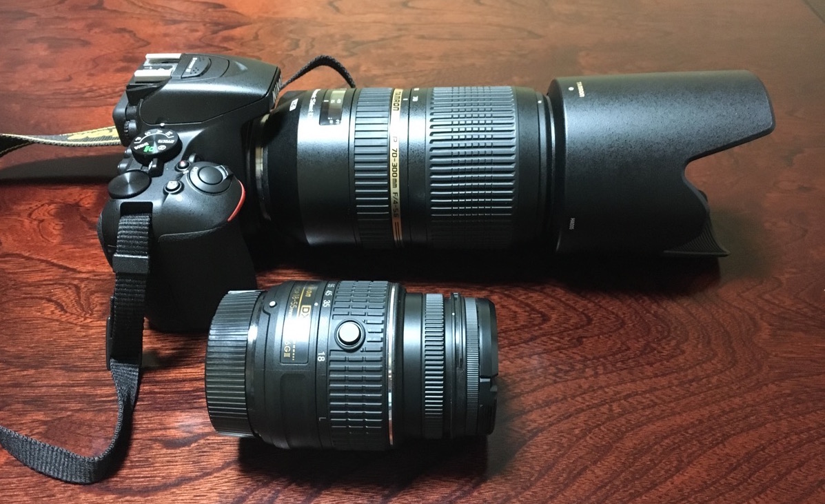 レビュー】TAMRON SP 70-300mm F4-5.6 Di VC USDで撮影した写真と感想