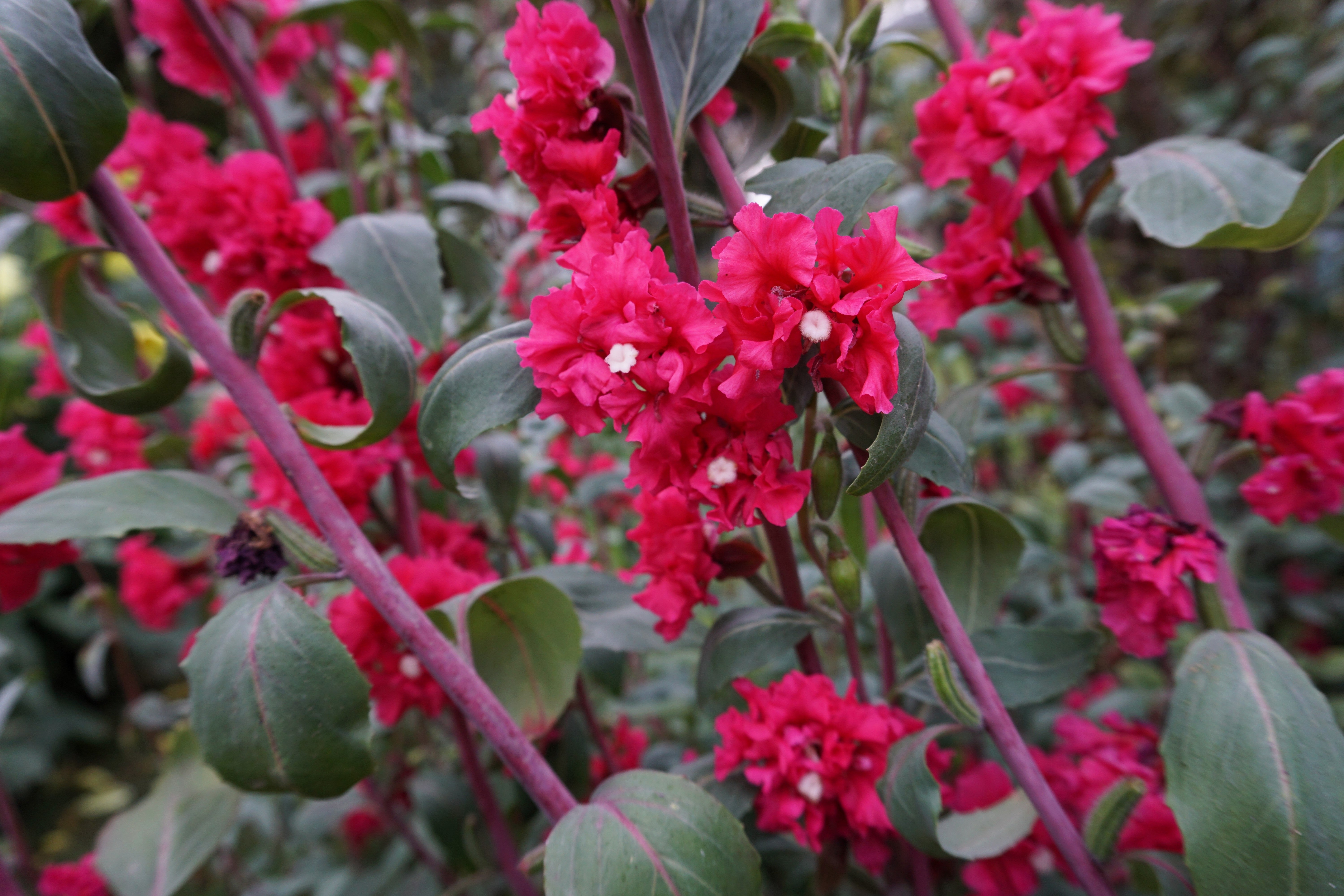 shutterstock_2142005445.jpg?v=