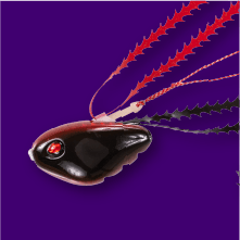 ライダー | シーフロアコントロール公式サイト