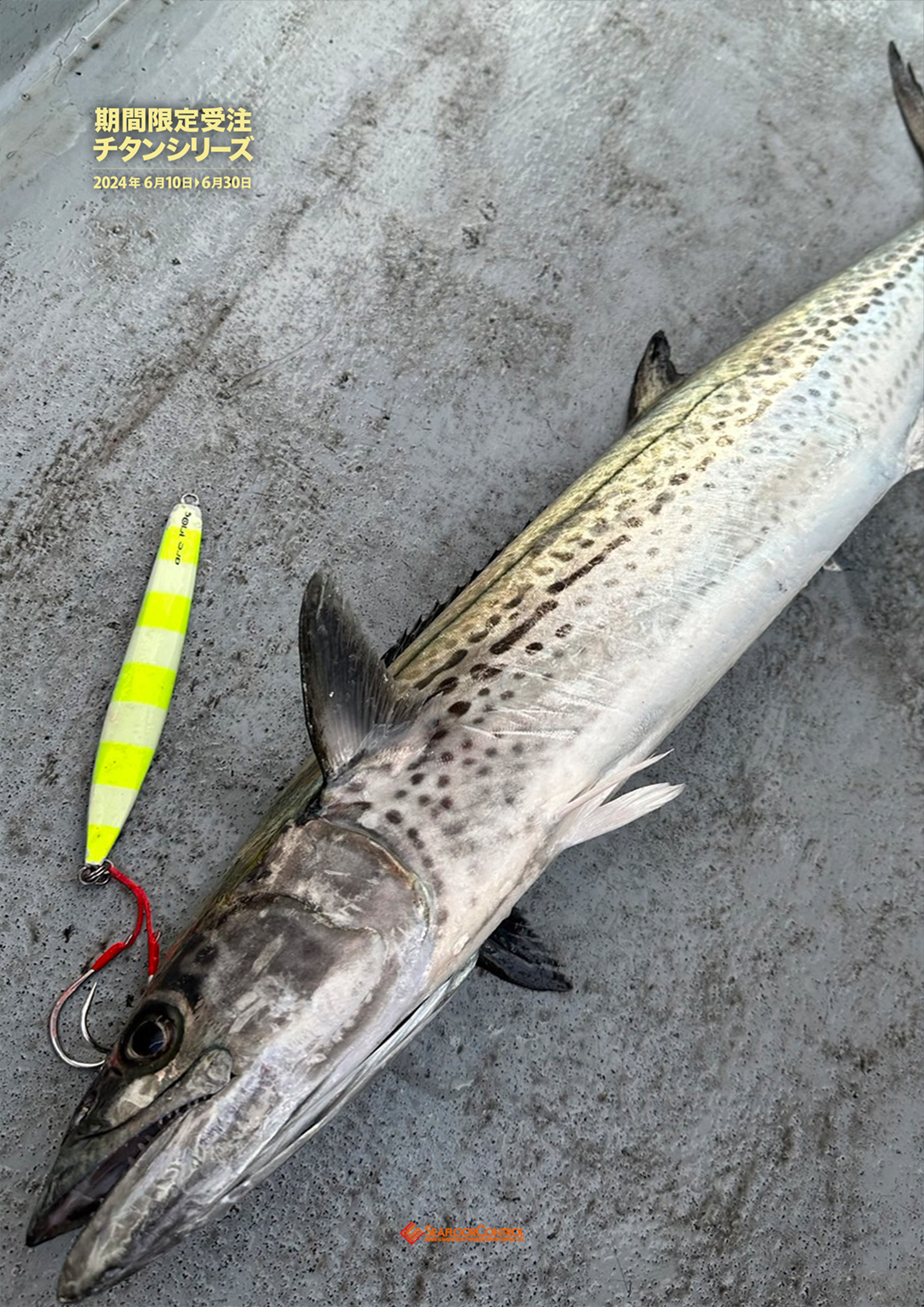 SFCジグより【限定色チタンカラー】が2色登場!! | シーフロア