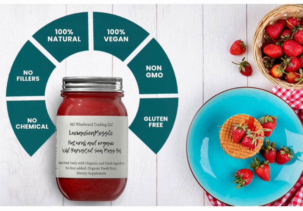 Aloe Vera Infused Organic Sea Moss Gel – Seamoss Global