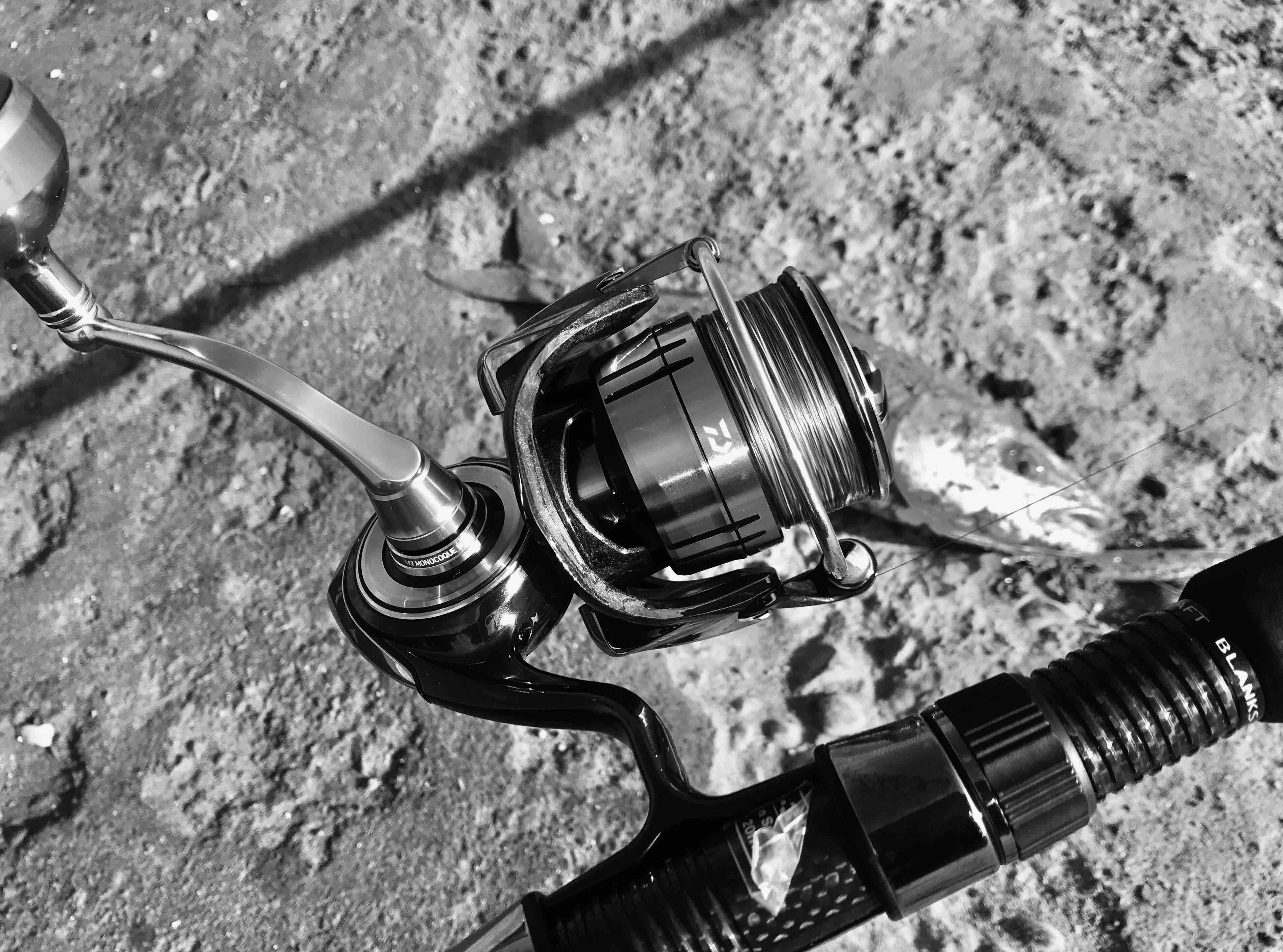 DAIWA 19セルテート インプレ