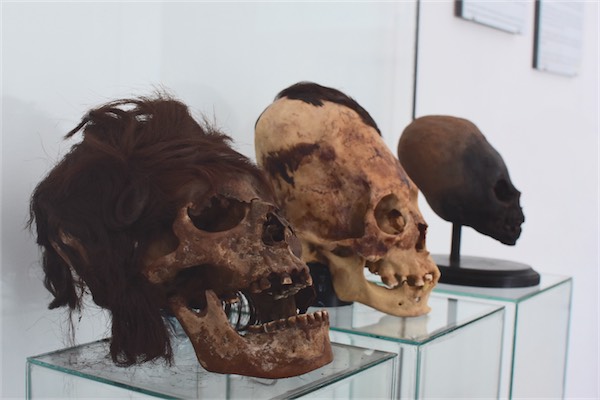 宇宙人説の絶えない「パラカスの頭蓋骨」の実物を見に行ってきた