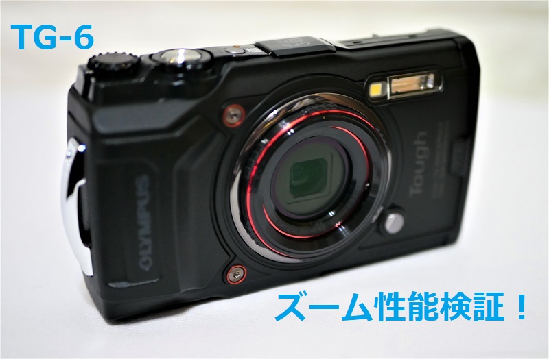 Tough TG-6】ズーム機能を検証！レビュー（ミラーレス一眼と比較もあり