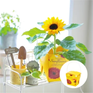 Smile Sunflower Floral Container - 聖新陶芸株式会社｜栽培キットの