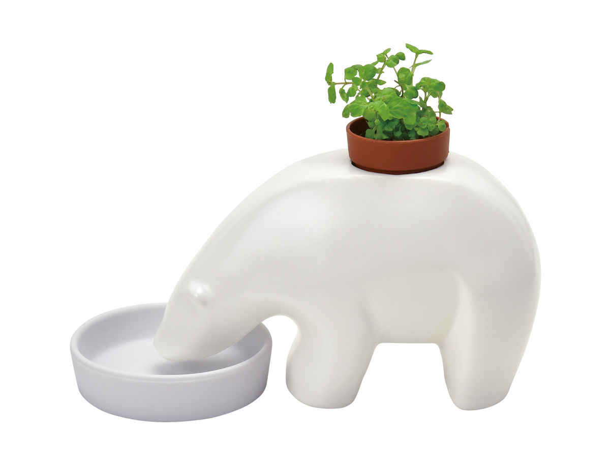 polar bearplant - 聖新陶芸株式会社｜栽培キットの企画・製造・販売