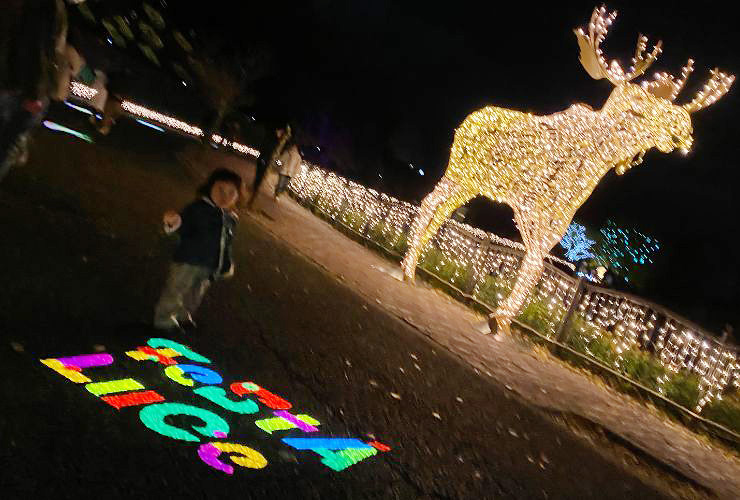 7928bf1be430e9dbcef44414852b38