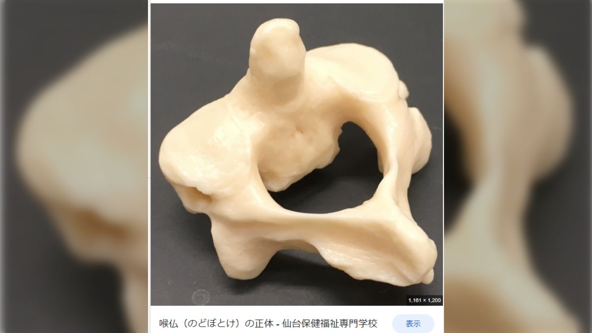 拾った骨 中国産 拾った骨 中国産