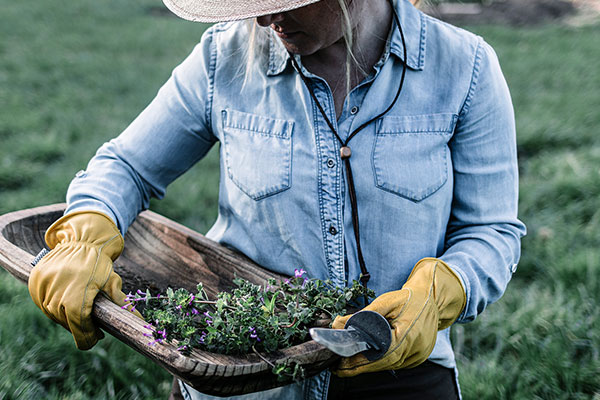 Barebones Living - ベアボーンズ・リビング・オフィシャルサイト