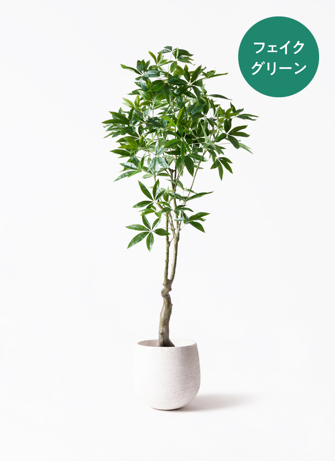 観葉植物【フェイクグリーン】パキラ 180cm ラスターポット 付き