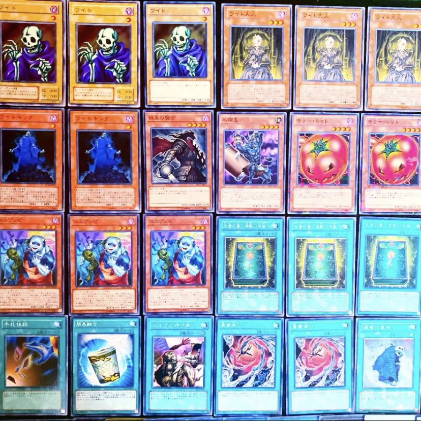 遊戯王 ガチ構築！！ワイトデッキ40枚＋EX15枚 30枚 (Used