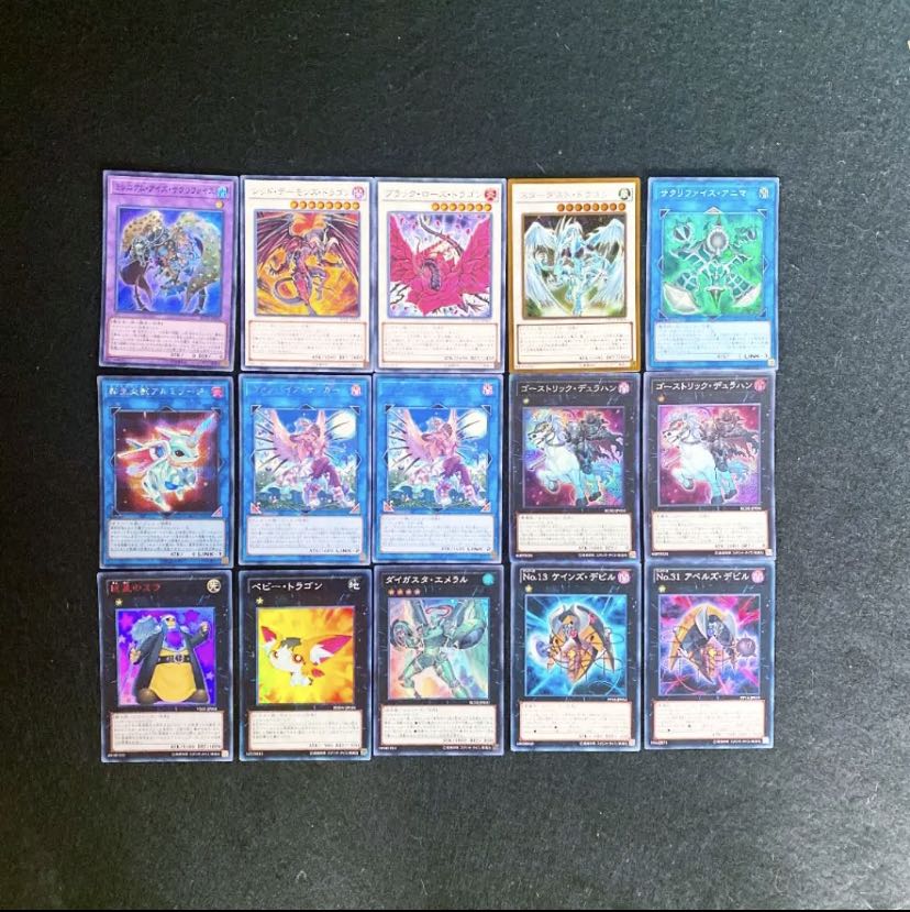 遊戯王 ガチ構築！！ワイトデッキ40枚＋EX15枚 30枚 (Used