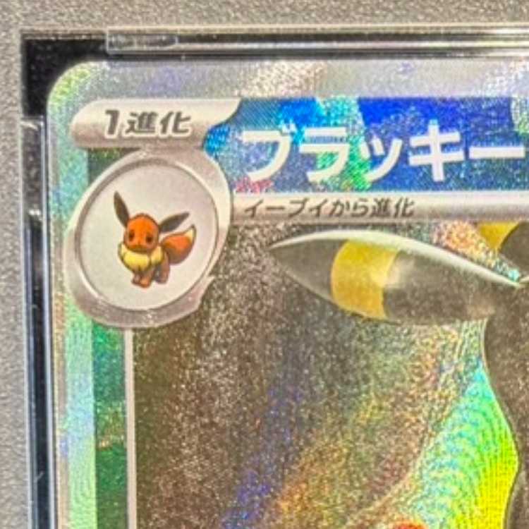 PSA10】ブラッキー(マスターボール柄/ミラー仕様) 092/187 1枚の通販