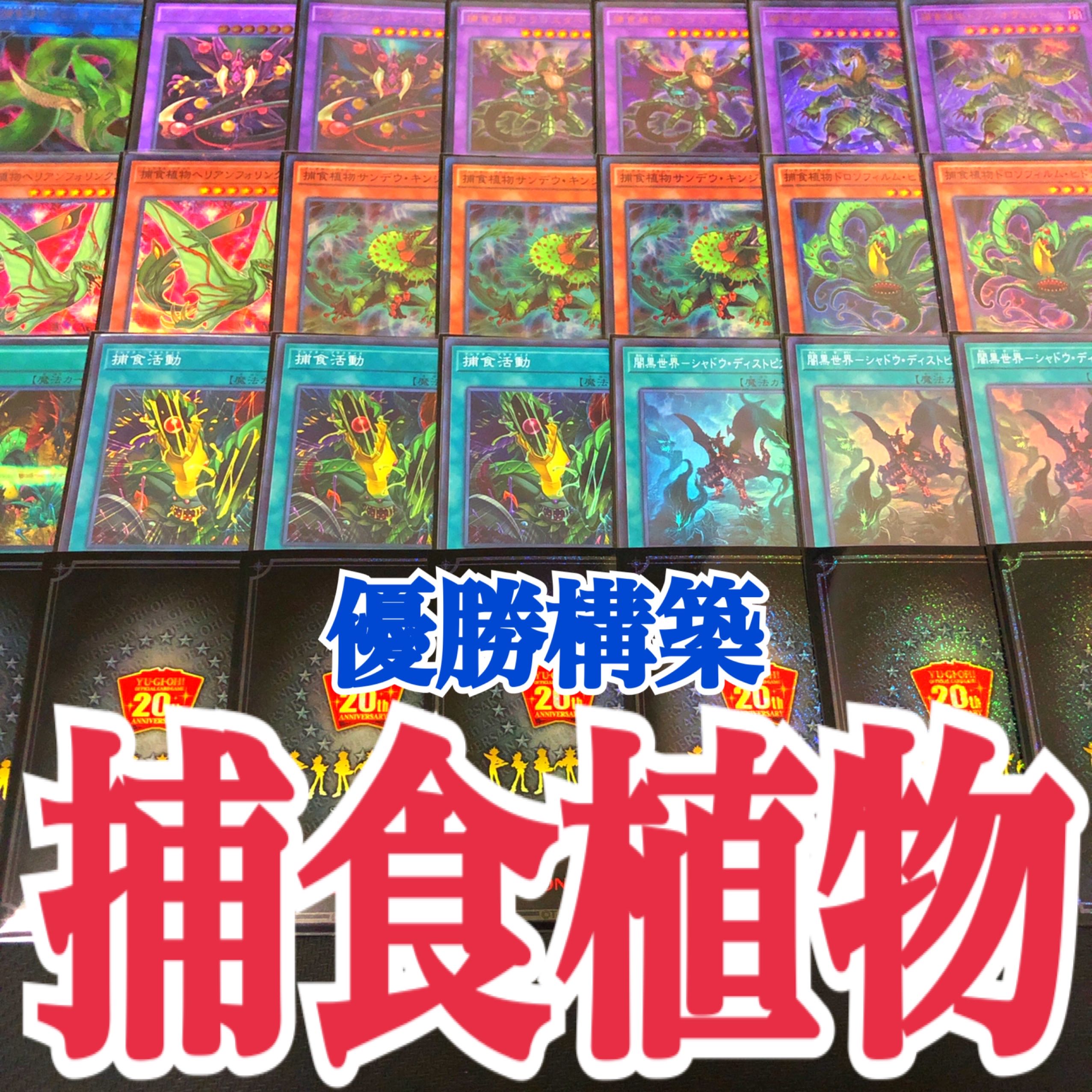 遊戯王 捕食植物(プレデター・プランツ) 優勝構築デッキ 1枚 (Used