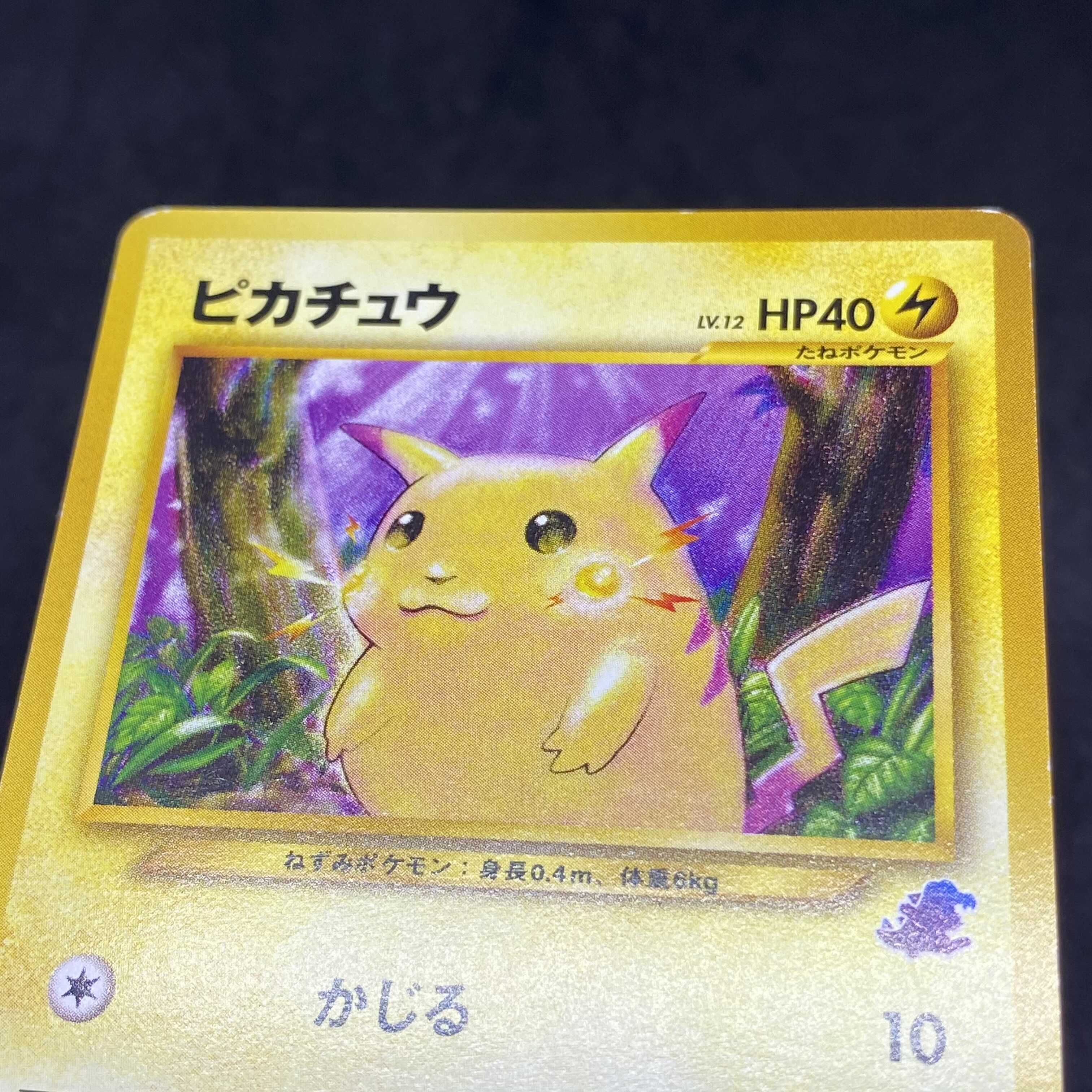 ポケモンカード 旧裏面 ピカチュウ イントロパック ワニノコマーク 1枚