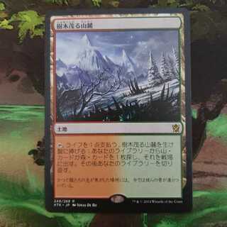 樹木茂る山麓」の激安通販 | magi