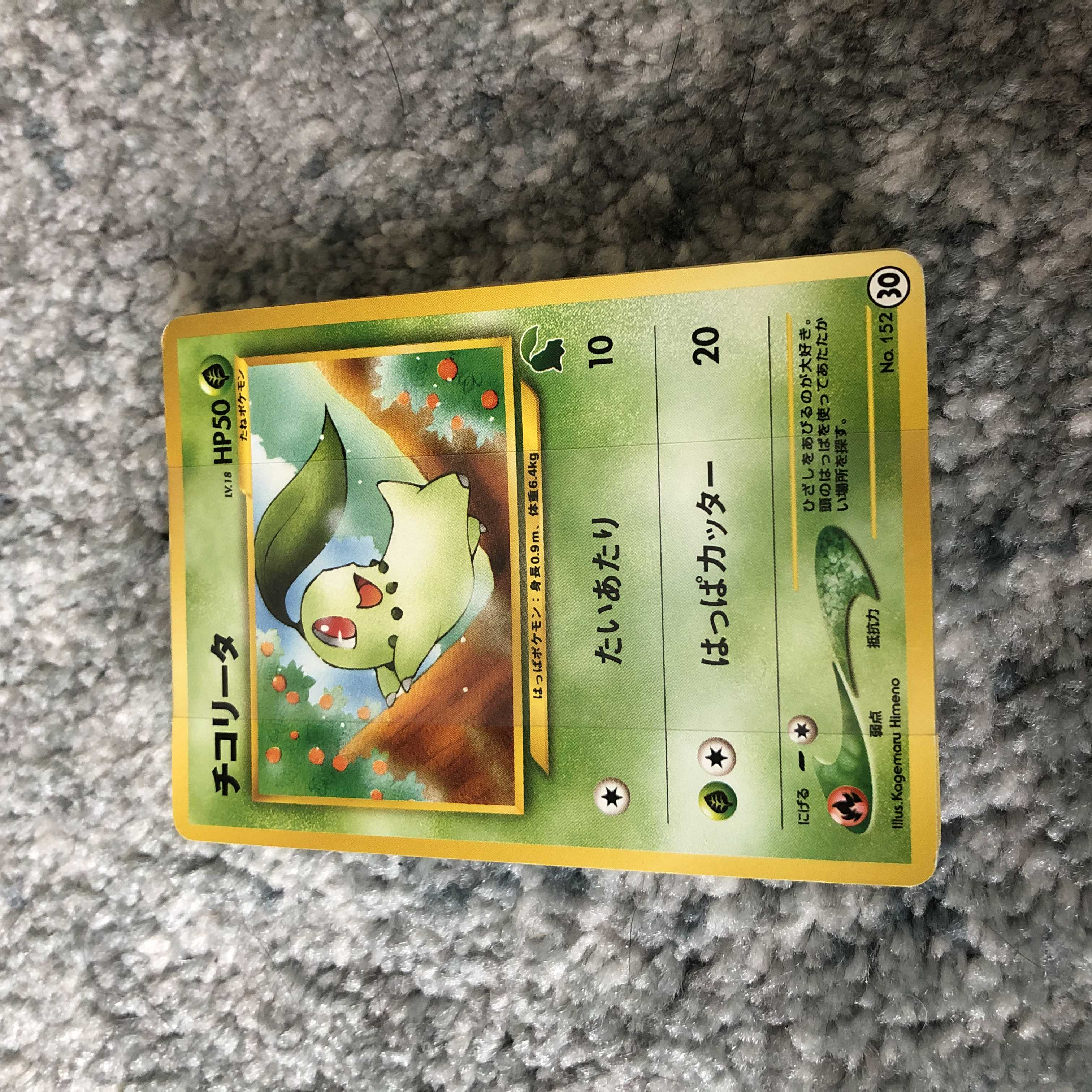 ポケモンカード イントロパック neo チコリータデッキ 1枚の通販 kaz