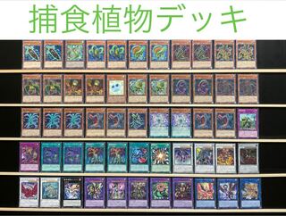 捕食植物 デッキ」の激安通販 | magi