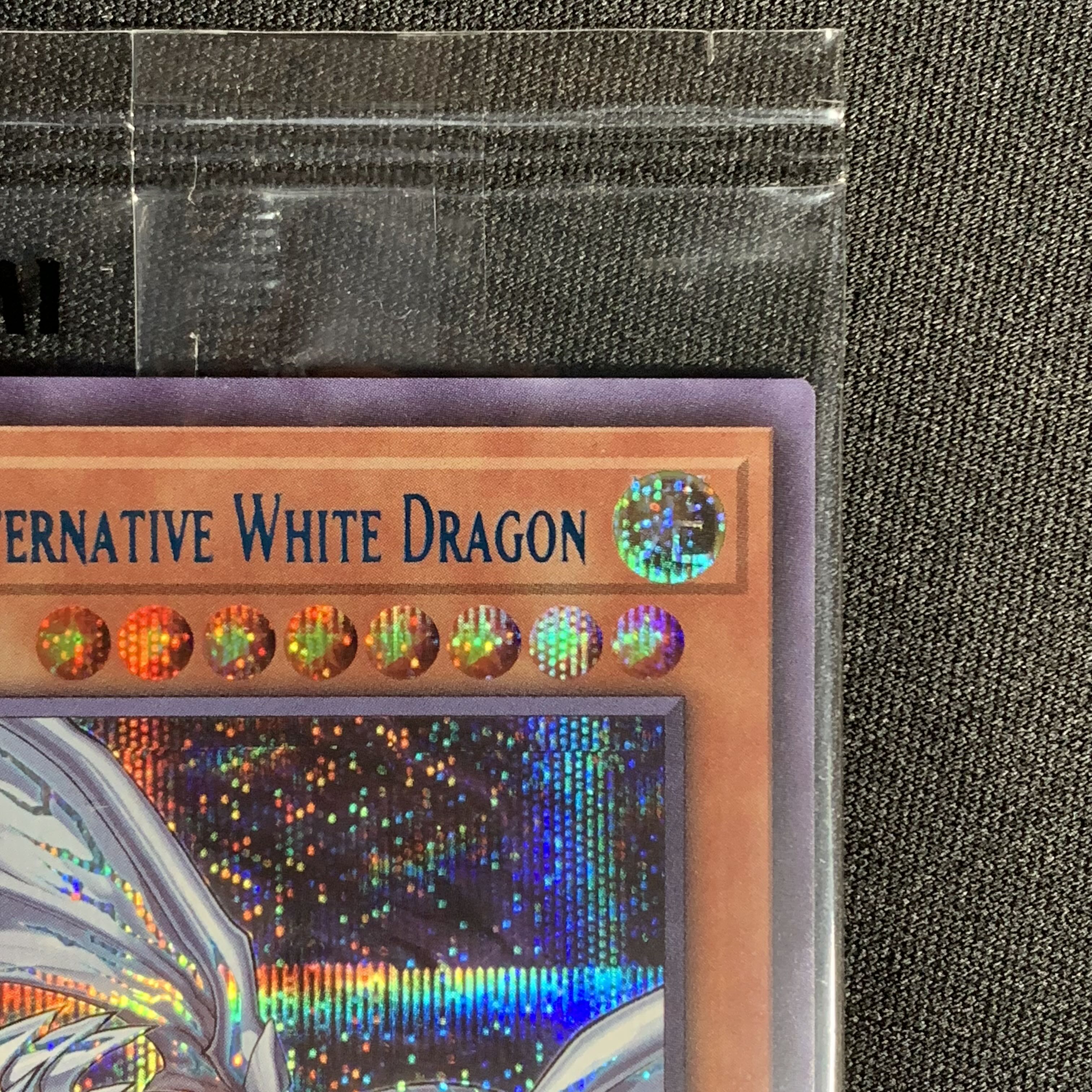 遊戯王 青眼の亜白龍 EU版 英語 未開封 プロモ オルタナティブ