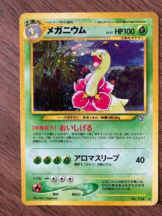 旧裏 メガニウム」の激安通販 | magi