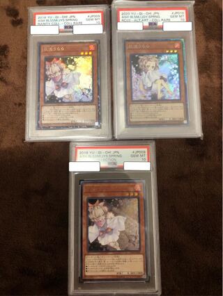 灰流うらら psa」の激安通販 | magi