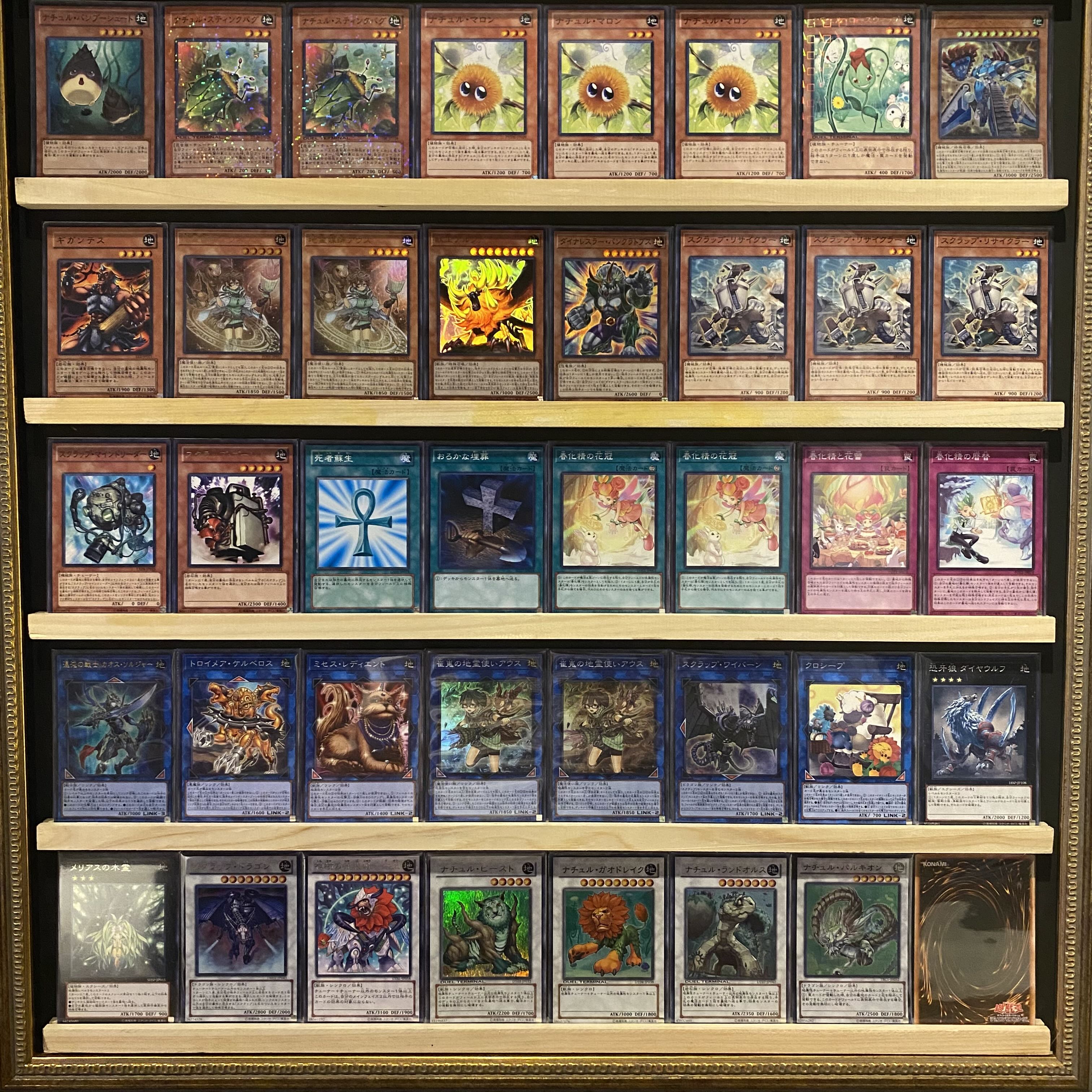 即日発送！【ナチュル春化精】デッキ 遊戯王 1枚の通販 GATCHA