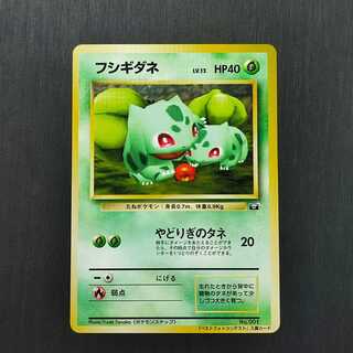 フシギダネ ポケモンスナップ プロモ 旧裏面 1枚の通販 土日祝休@magi