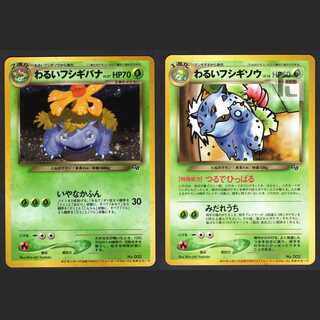 わるいフシギバナ・わるいフシギソウ【エクセ】旧裏 2枚セット/管理