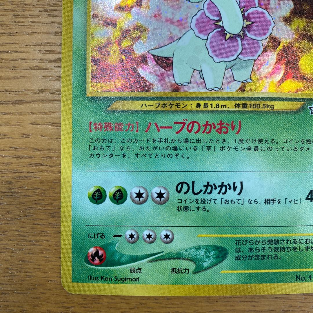 ポケモンカード旧裏 メガニウム 1枚の通販 yuta（524664806） | magi