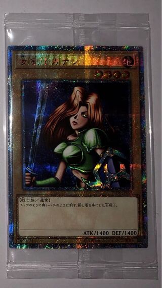 女剣士カナン 未開封」の激安通販 | magi