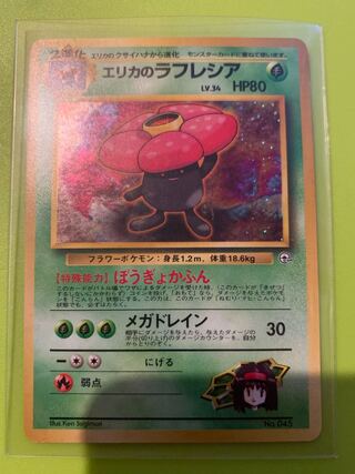 エリカのラフレシア」の激安通販 | magi