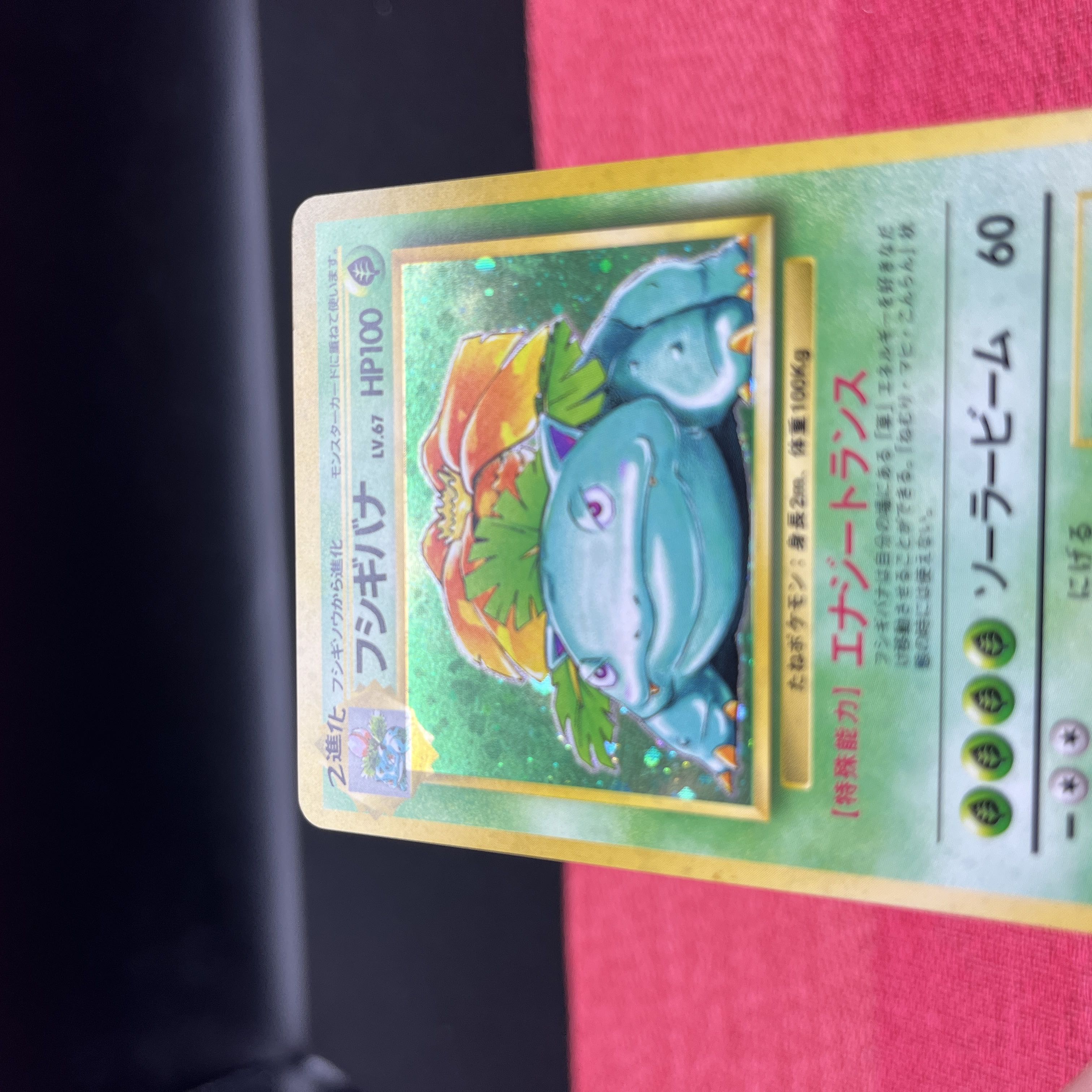 ポケモンカード 旧裏 御三家 1枚の通販 ◈Abyss♆ ◈（1453936127） | magi